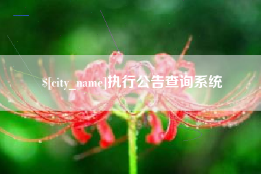 兴化执行公告查询系统