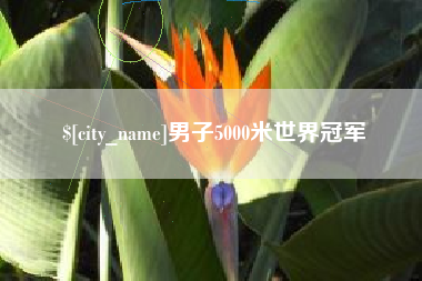 兴化男子5000米世界冠军