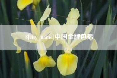 兴化中国金牌包括
