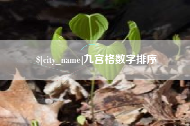 兴化九宫格数字排序