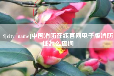 兴化中国消防在线官网电子版消防证怎么查询