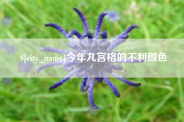 兴化今年九宫格的不利颜色