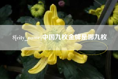 兴化中国九枚金牌是哪九枚