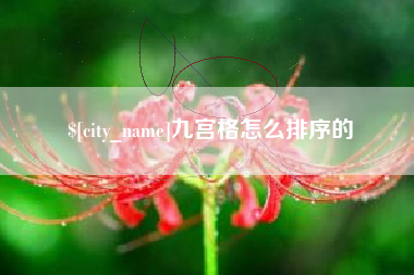 兴化九宫格怎么排序的