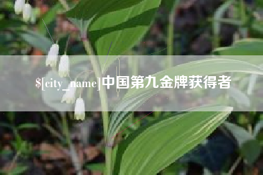 兴化中国第九金牌获得者