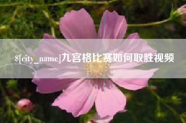 兴化九宫格比赛如何取胜视频