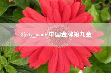 兴化中国金牌第九金