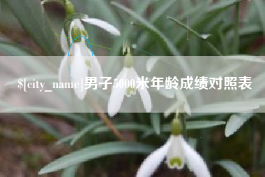 兴化男子5000米年龄成绩对照表