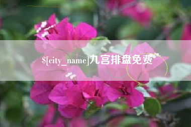兴化九宫排盘免费