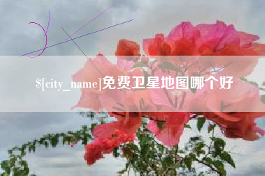 兴化免费卫星地图哪个好