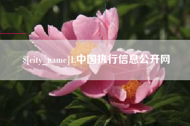兴化1.中国执行信息公开网