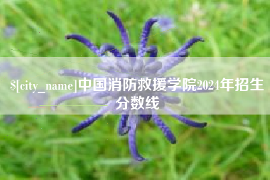 兴化中国消防救援学院2024年招生分数线