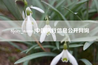 兴化中国执行信息公开网询