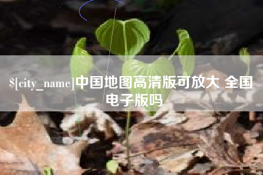 兴化中国地图高清版可放大 全国 电子版吗