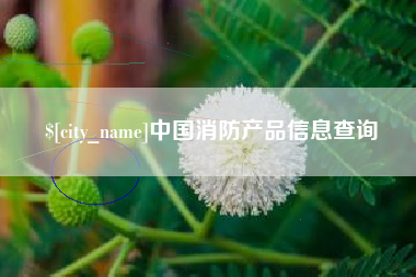 兴化中国消防产品信息查询
