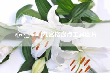 兴化九宫格盘点工具图片