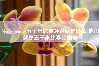 兴化五千米比赛领跑员是什么-他们就是五千米比赛领跑员