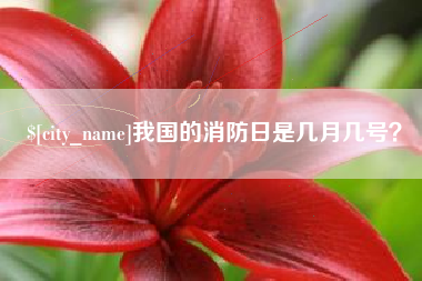 兴化我国的消防日是几月几号？