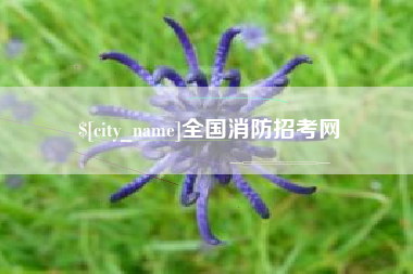 兴化全国消防招考网