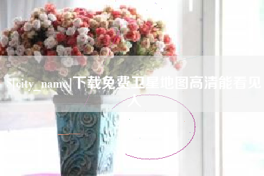 兴化下载免费卫星地图高清能看见人