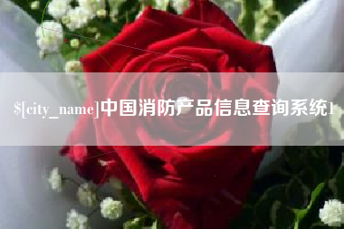 兴化中国消防产品信息查询系统1