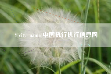 兴化中国执行执行信息网