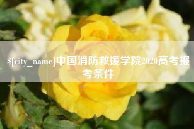 兴化中国消防救援学院2020高考报考条件