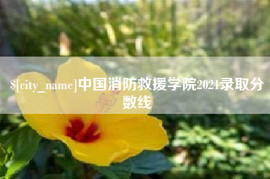 兴化中国消防救援学院2021录取分数线