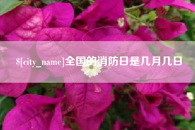兴化全国的消防日是几月几日