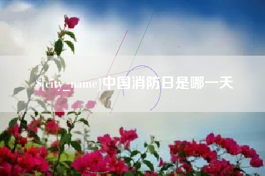 兴化中国消防日是哪一天