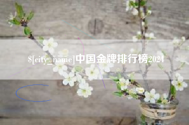 兴化中国金牌排行榜2024