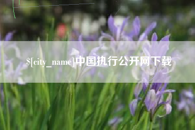 兴化中国执行公开网下载