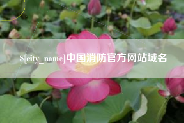 兴化中国消防官方网站域名