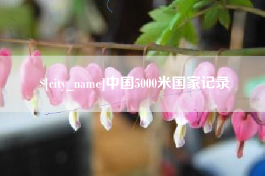 兴化中国5000米国家记录