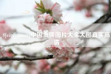 兴化中国金牌图片大全大图真实高清