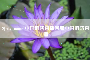 兴化中国消防直播回放中国消防直播