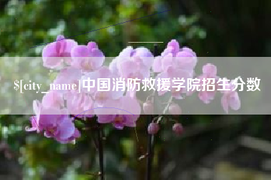 兴化中国消防救援学院招生分数