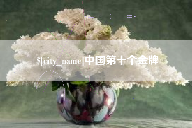 兴化中国第十个金牌