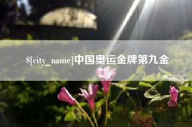 兴化中国奥运金牌第九金