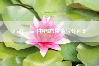 兴化中国六块金牌分别是