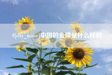 兴化中国的金牌是什么样的