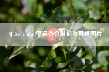 兴化奥运夺金时刻九宫格图片