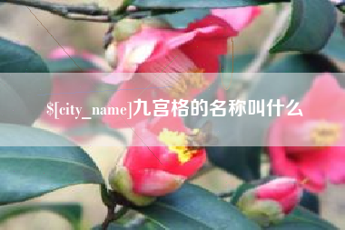 兴化九宫格的名称叫什么