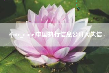 兴化中国执行信息公开网失信