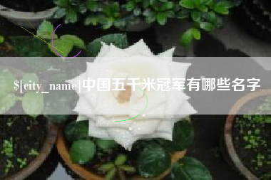 兴化中国五千米冠军有哪些名字