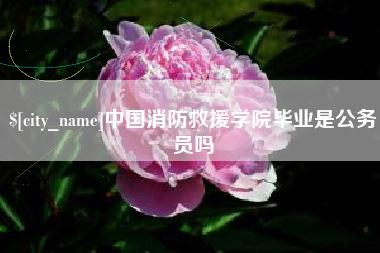 兴化中国消防救援学院毕业是公务员吗