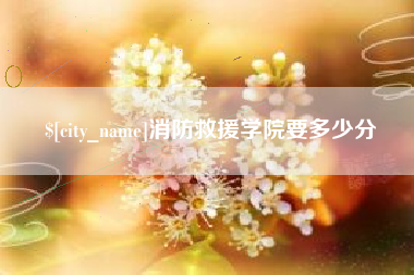兴化消防救援学院要多少分