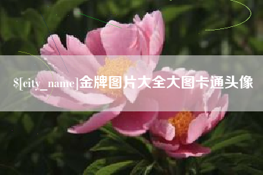 兴化金牌图片大全大图卡通头像