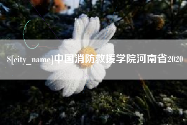 兴化中国消防救援学院河南省2020